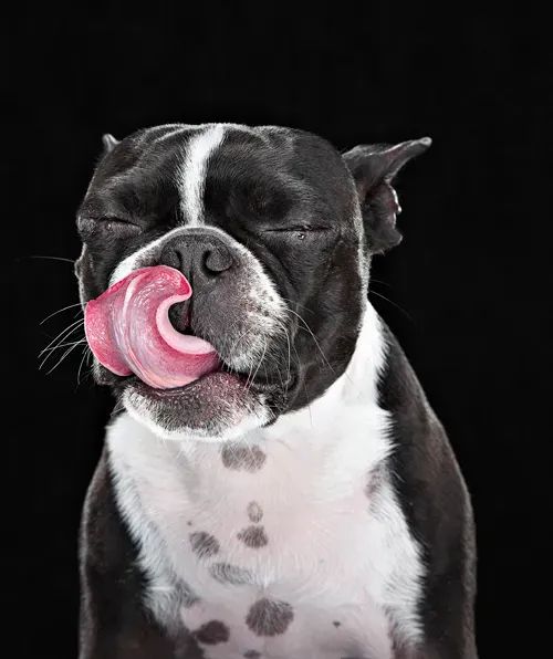 (קרדיט תמונה: Getty Images)